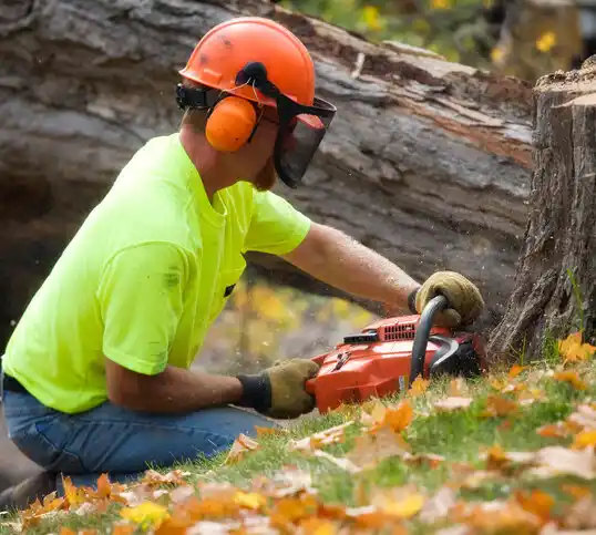 tree services Pierce City